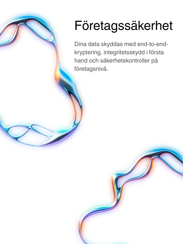 Enterprise-grade security with encrypted transcription storage